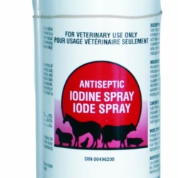 DVL Antiseptic Iodine Spray 500mL