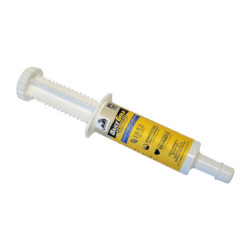 Redmond Daily Gold Hydrated Clay Syringe